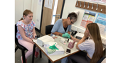 Activities Week 2022