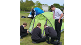 Bronze dofe