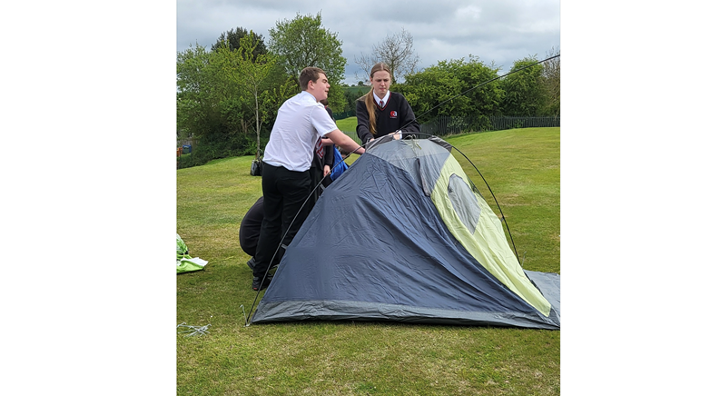 Bronze dofe