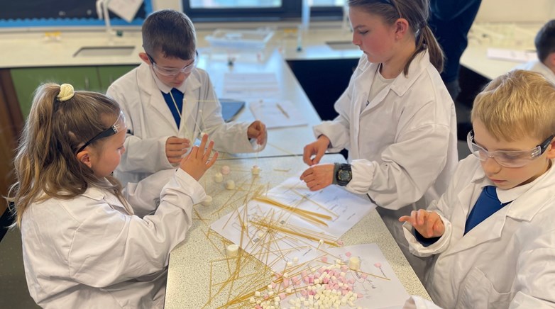 Year 5 feeder school