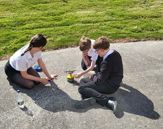 Bronze dofe