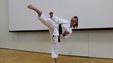 Karate kid
