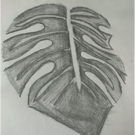 Picture 4