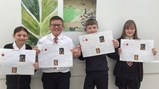 Year 7