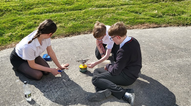 Bronze dofe